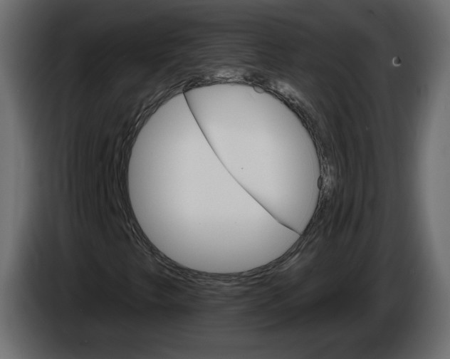 X0000084521249200703231623