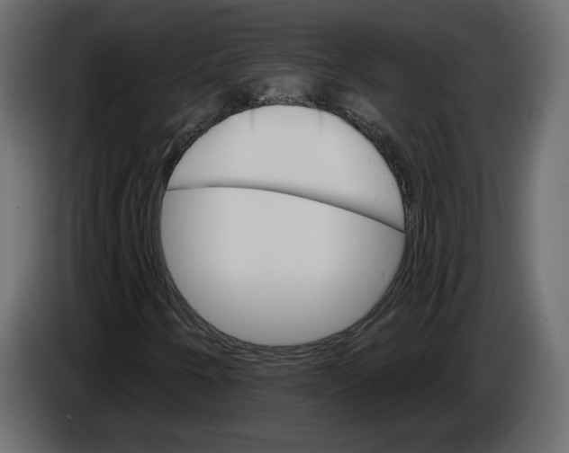 X0000084521250200703231623