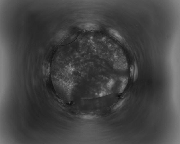 X0000084521251200703231623