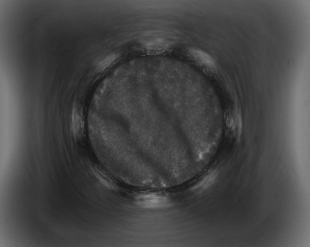 X0000084521252200703231623