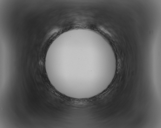 X0000084521254200703231623
