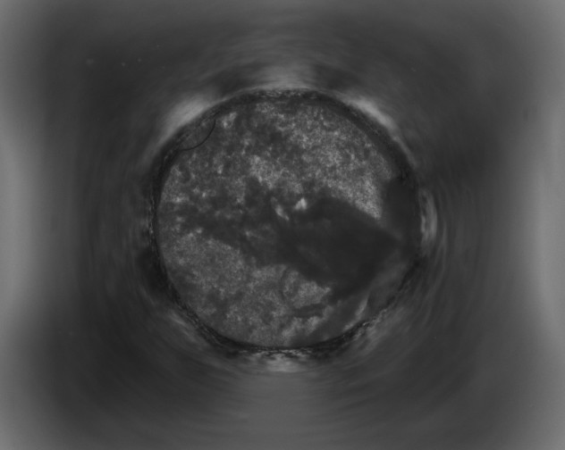 X0000084521255200703231623