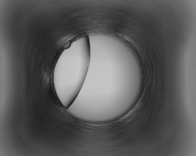 X0000084521257200703231623