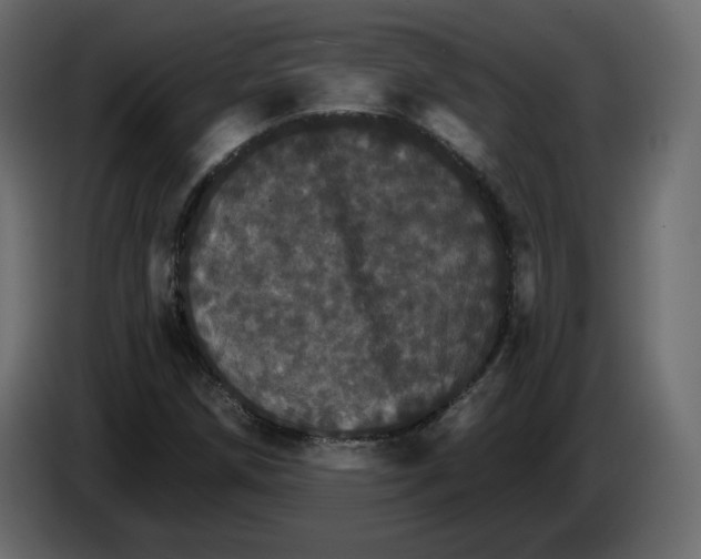 X0000084521258200703231623