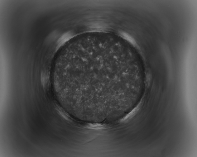 X0000084521259200703231623