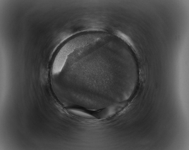 X0000084521260200703231623