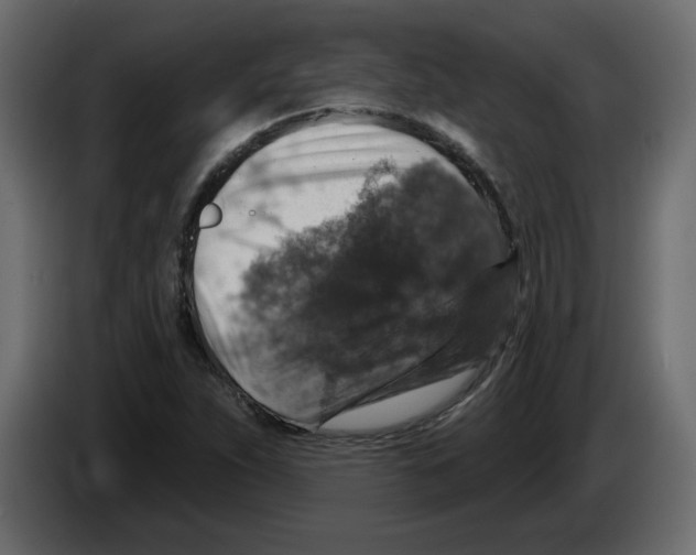 X0000084521263200703231623
