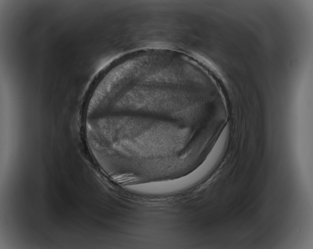X0000084521264200703231623