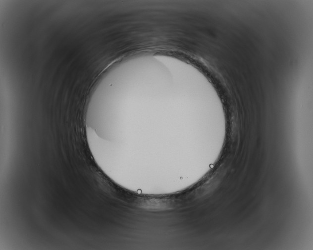 X0000084521265200703231623