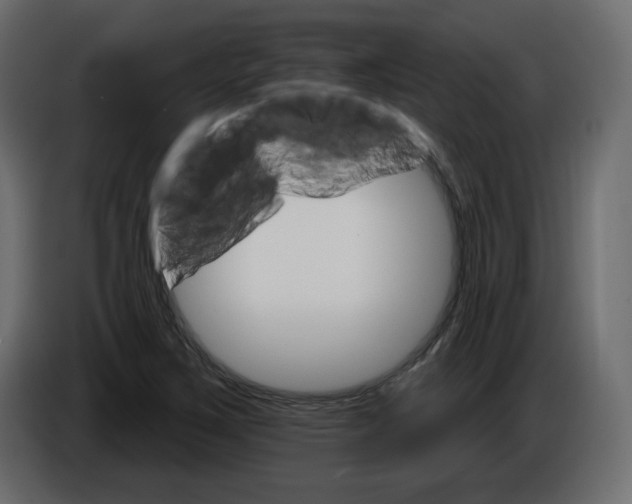 X0000084521267200703231623