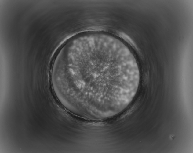 X0000084521268200703231623