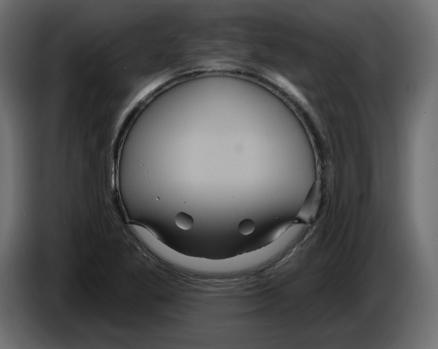X0000084521269200703231623