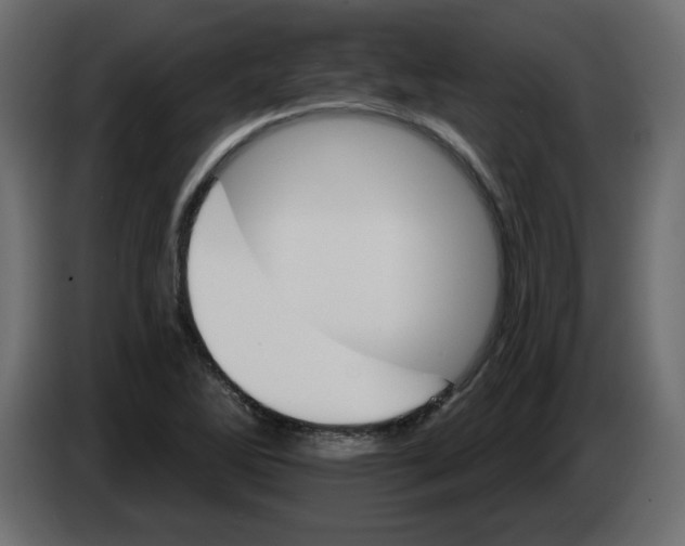 X0000084521270200703231623