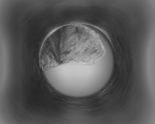 X0000084521271200703231623