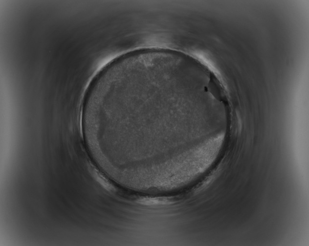 X0000084521272200703231623