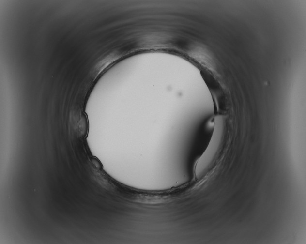 X0000084521273200703231623
