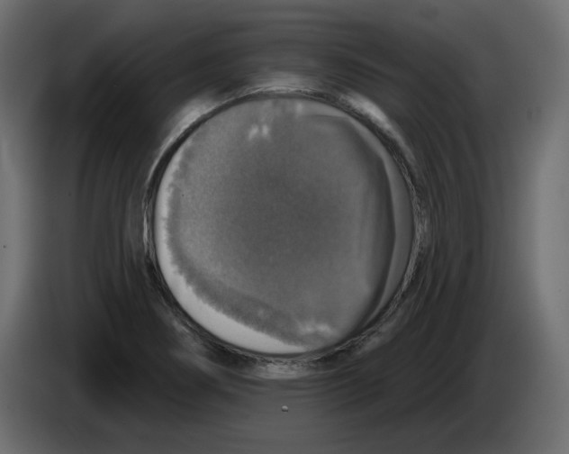 X0000084521274200703231623