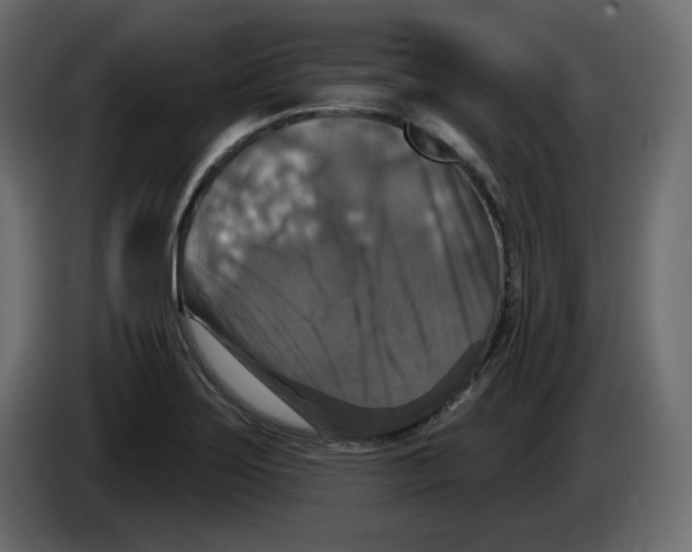 X0000084521275200703231623