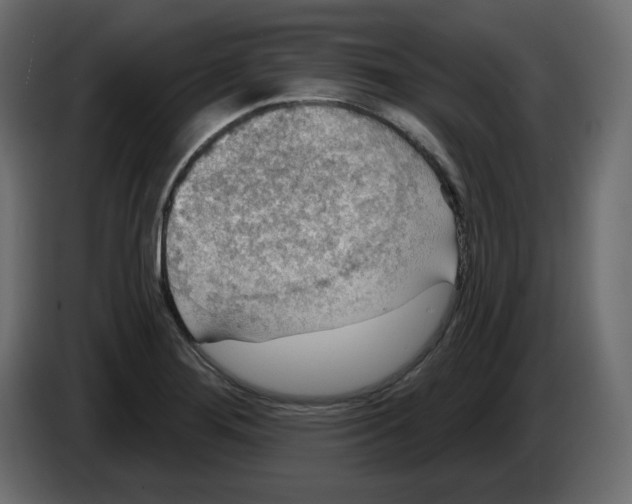 X0000084521276200703231623