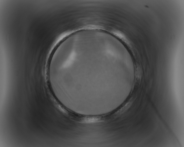 X0000084521278200703231623
