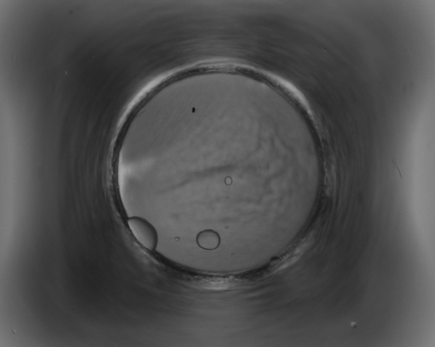 X0000084521279200703231623