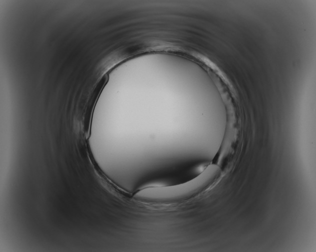 X0000084521281200703231622