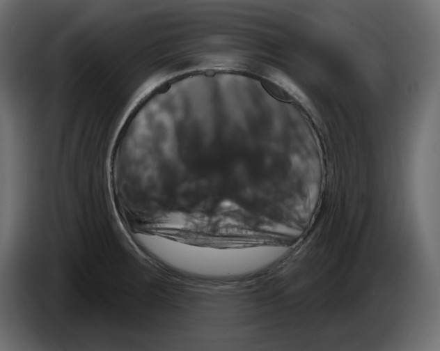 X0000084521283200703231622