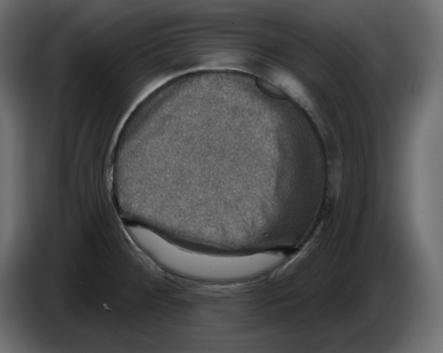 X0000084521284200703231622