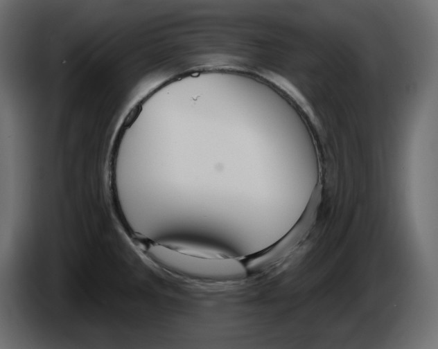 X0000084521285200703231622