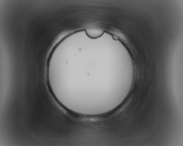 X0000084521286200703231622