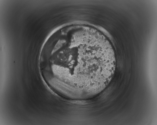 X0000084521287200703231622
