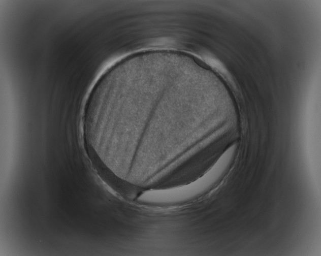 X0000084521288200703231622
