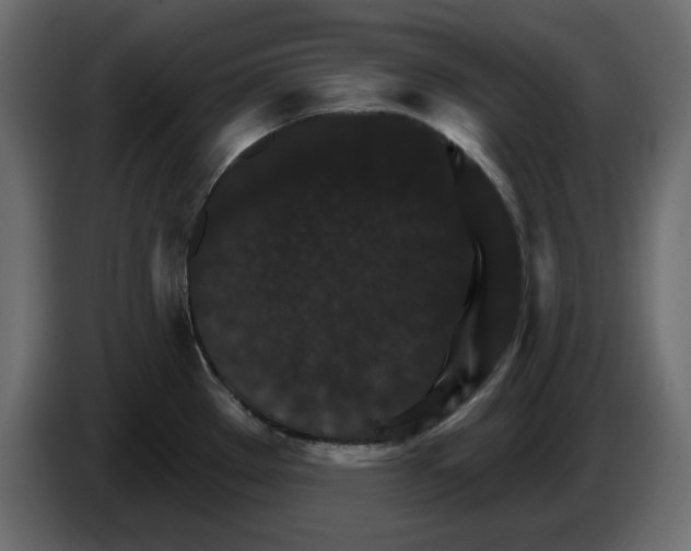 X0000084521289200703231622