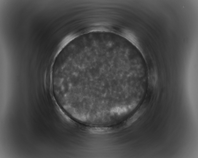 X0000084521290200703231622