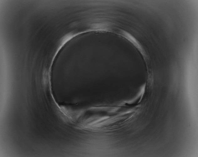 X0000084521291200703231622