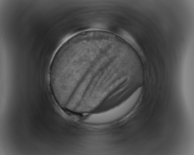 X0000084521292200703231622