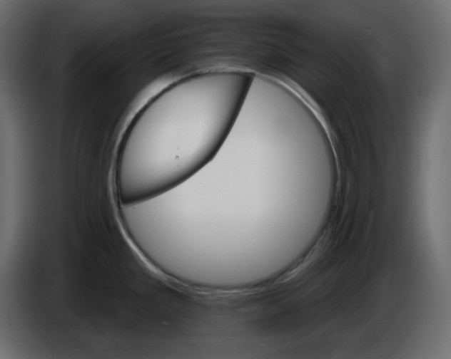 X0000084521293200703231622