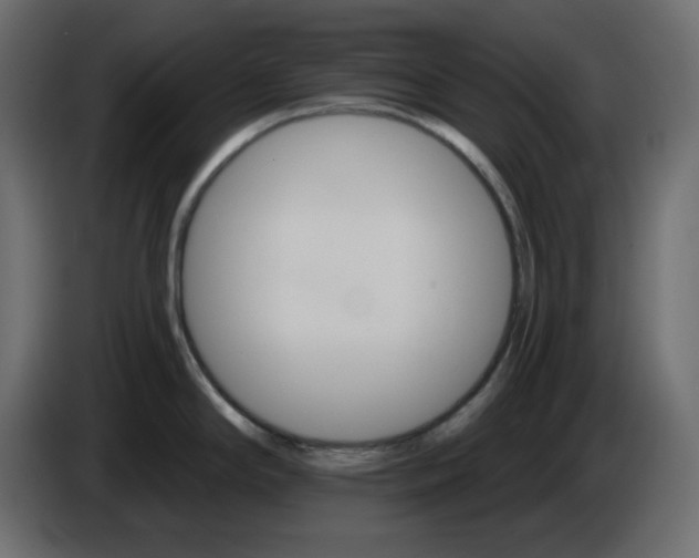 X0000084521294200703231622