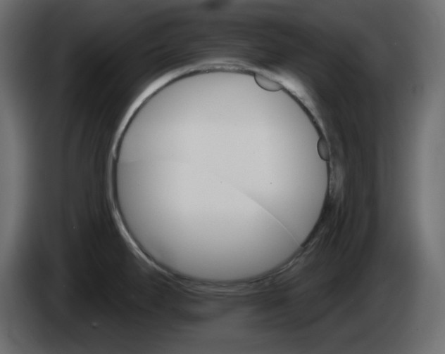 X0000084521295200703231622