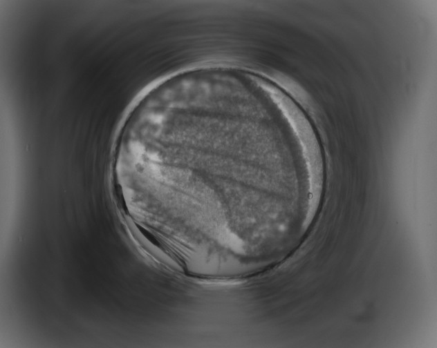 X0000084521296200703231622
