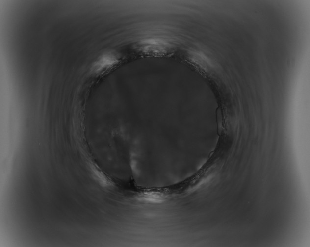 X0000084521297200703231622