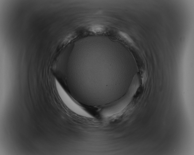 X0000084521298200703231622