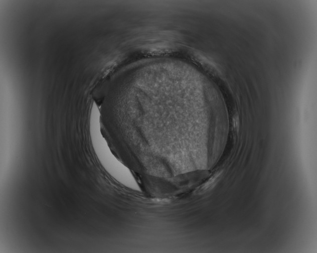 X0000084521300200703231622