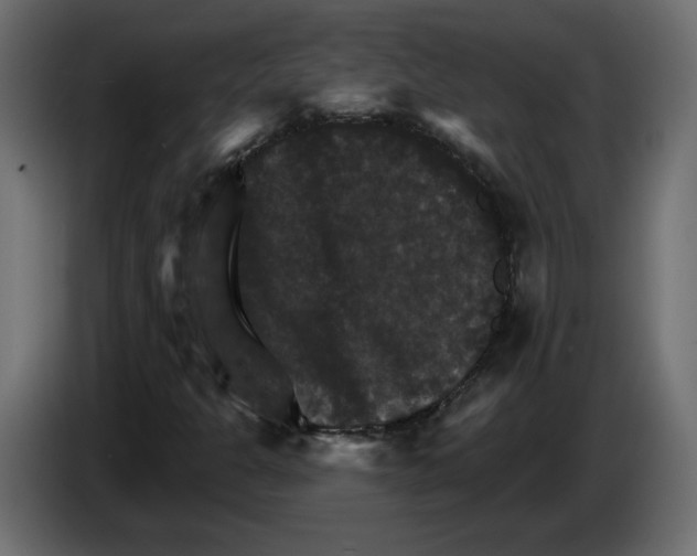 X0000084521301200703231622