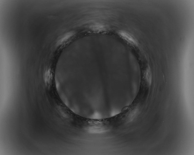 X0000084521302200703231622