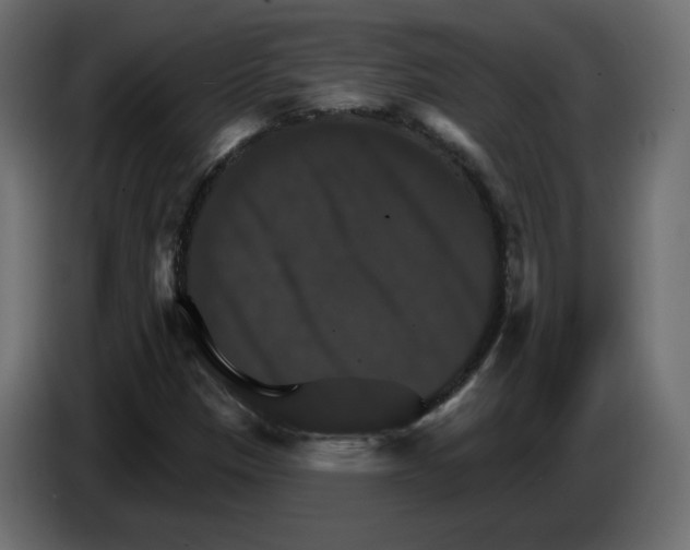 X0000084521305200703231622
