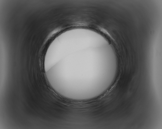 X0000084521307200703231622