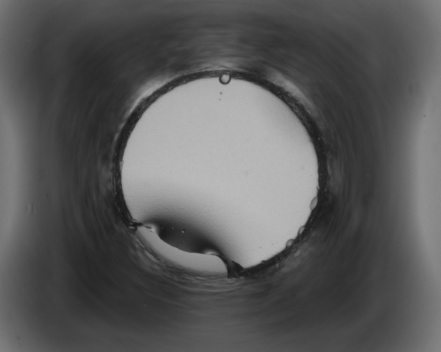 X0000084521308200703231622