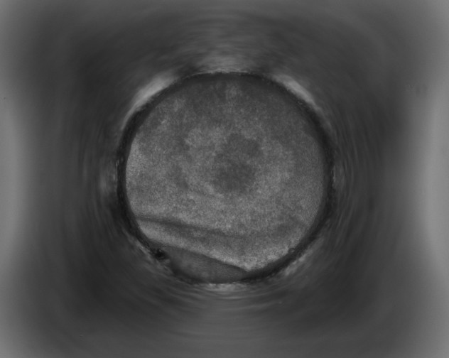 X0000084521309200703231622