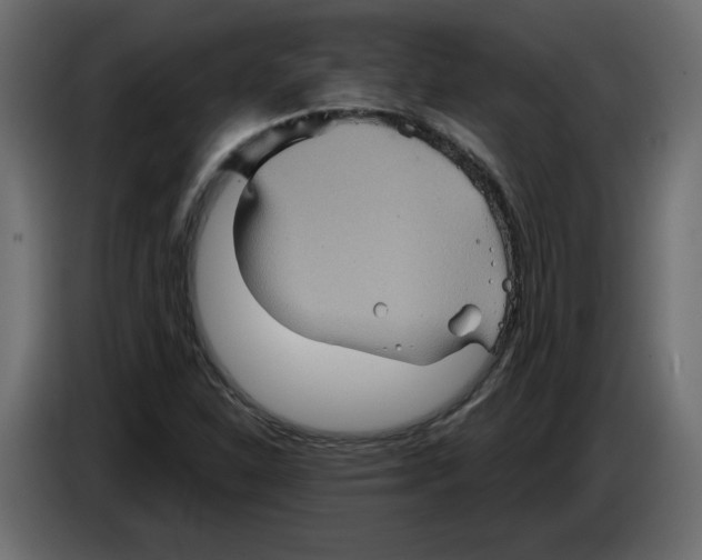 X0000084521310200703231622
